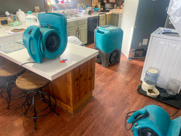 Best Professional water damage repair  in Elmore, OH
