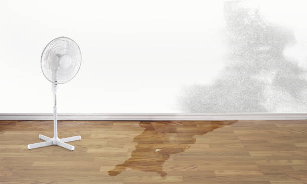Best Emergency water damage restoration  in Elmore, OH