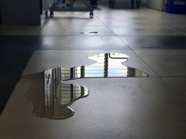 Best Carpet water damage restoration  in Elmore, OH