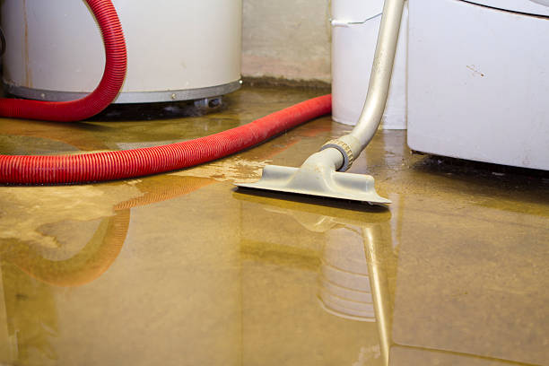 Best Professional water damage repair  in Elmore, OH